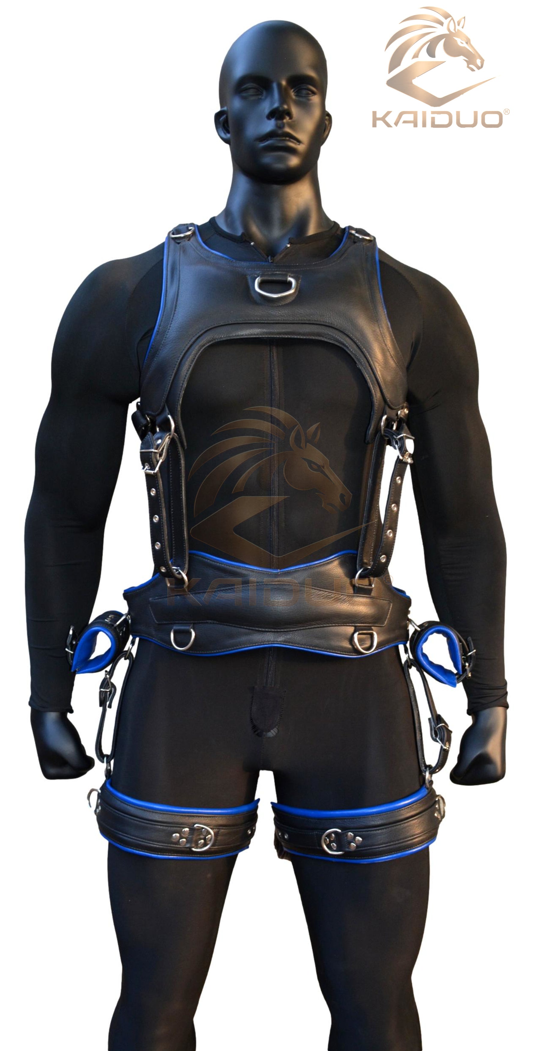 Pony Play Leather Harness